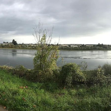 Nid Douillet Bord De Loire Apartment บลัวส์ ภายนอก รูปภาพ