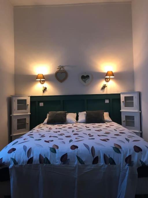 Nid Douillet Bord De Loire Apartment บลัวส์ ภายนอก รูปภาพ