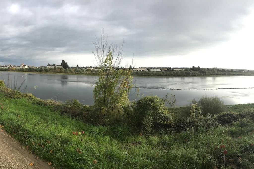 Nid Douillet Bord De Loire Apartment บลัวส์ ภายนอก รูปภาพ