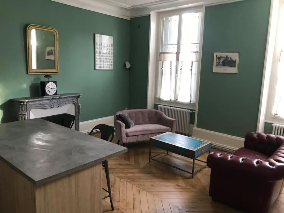 Nid Douillet Bord De Loire Apartment บลัวส์ ภายนอก รูปภาพ